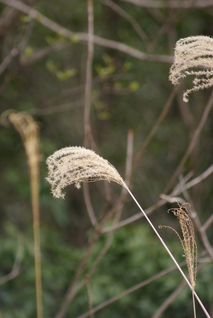 a0091666_841330.jpg
