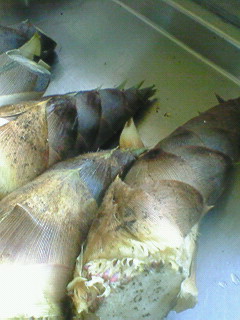 f0180166_22391615.jpg