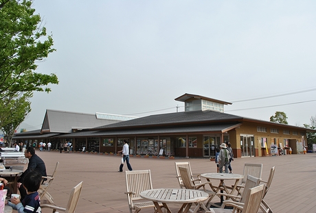 c0099967_046269.jpg