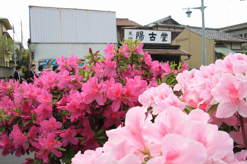 c0134569_155230.jpg
