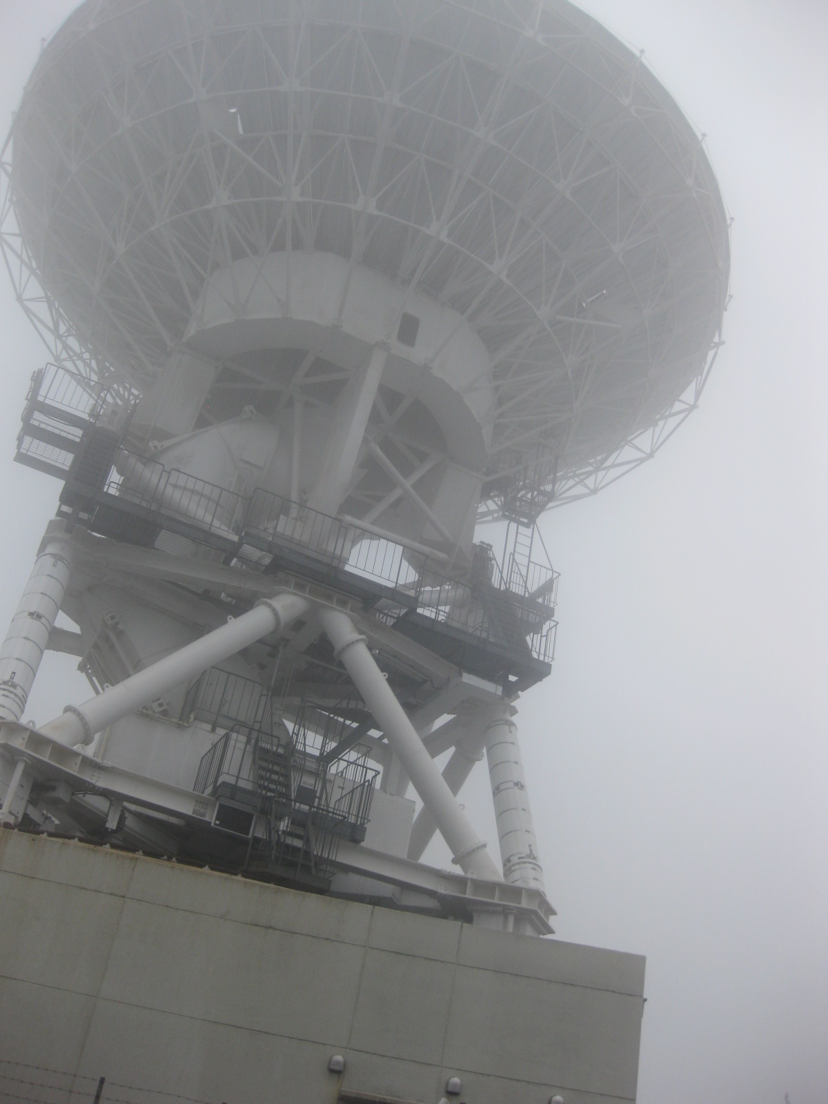 d0007673_10172847.jpg