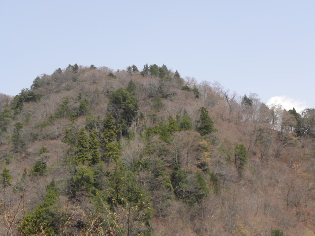 d0134473_17365517.jpg