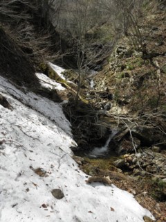 d0134473_17393841.jpg