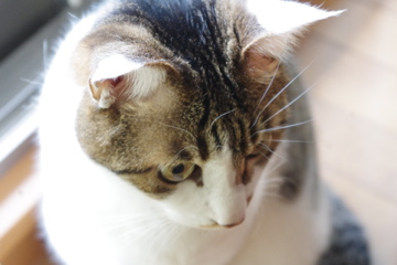 f0054677_62454.jpg