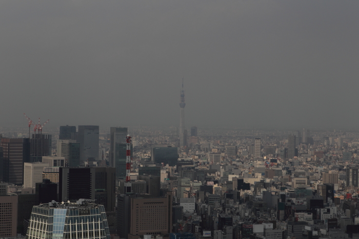 c0008378_19591583.jpg
