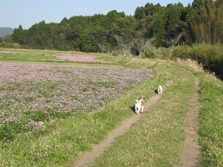 b0125788_14101529.jpg