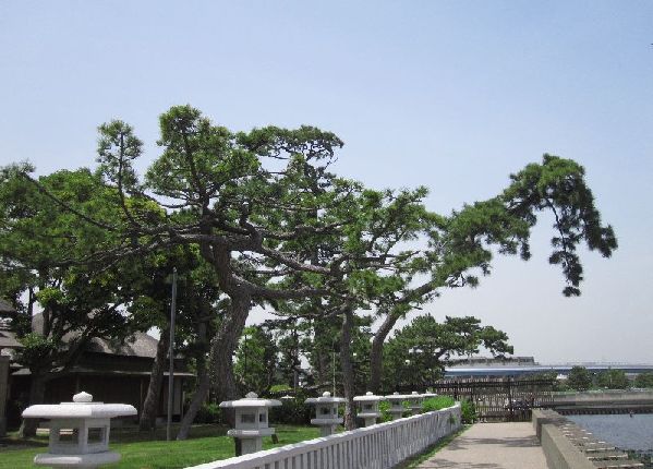 e0143690_11414358.jpg