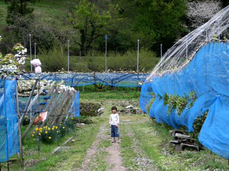e0072091_20111095.jpg