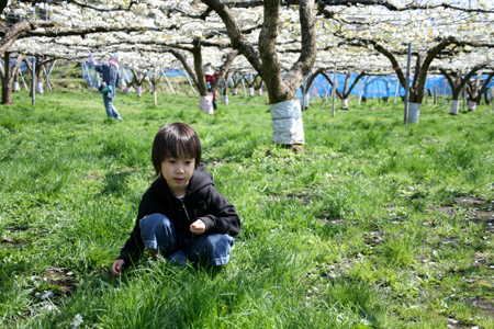 e0072091_2011215.jpg