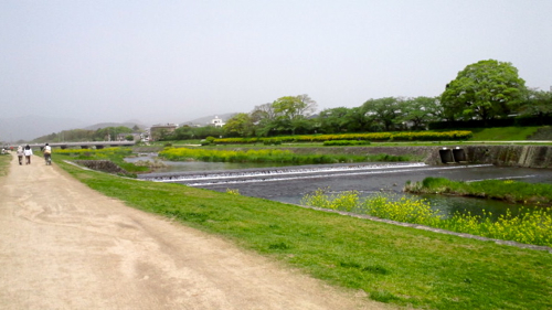 a0079292_1055927.jpg