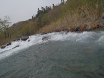 e0211293_920274.jpg