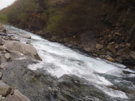 e0211293_930862.jpg