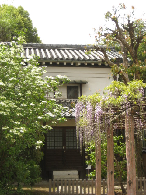 a0193698_826529.jpg