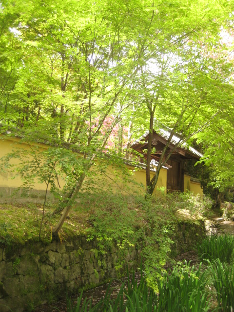 a0193698_8314555.jpg