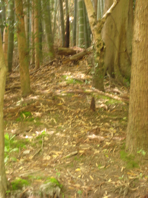 a0193698_8374220.jpg