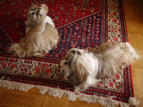 c0090198_5221100.jpg
