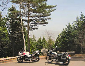 f0221699_753930.jpg