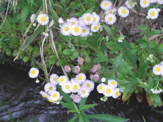 e0025300_15533688.jpg