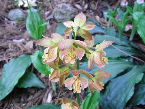 f0187402_2011834.jpg