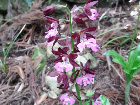 f0187402_2012674.jpg