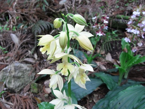 f0187402_201930.jpg
