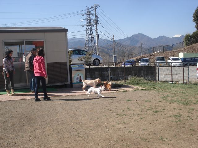 b0148106_619266.jpg