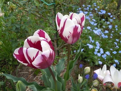 c0117007_2217759.jpg
