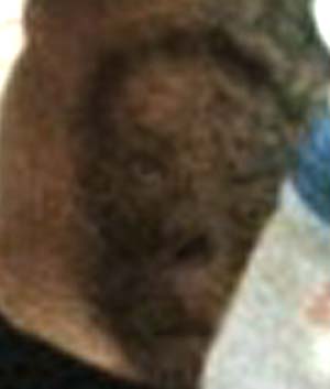 e0103408_13244328.jpg
