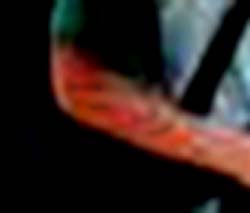 e0103408_14585099.jpg