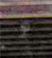 e0103408_1459589.jpg