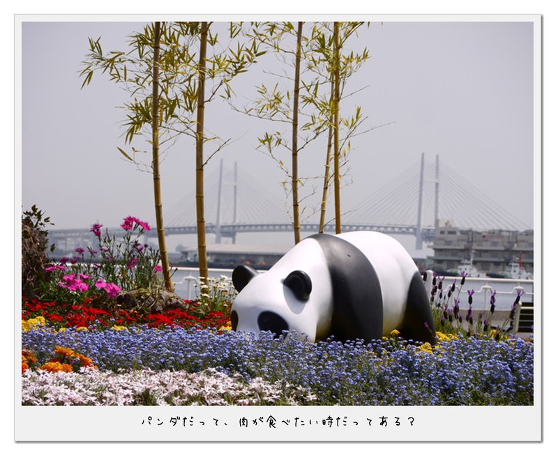f0208209_23165129.jpg