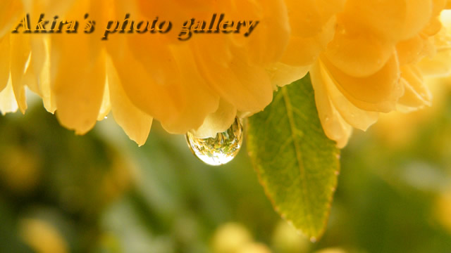 a0042211_17191127.jpg
