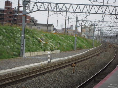 a0143811_8211698.jpg