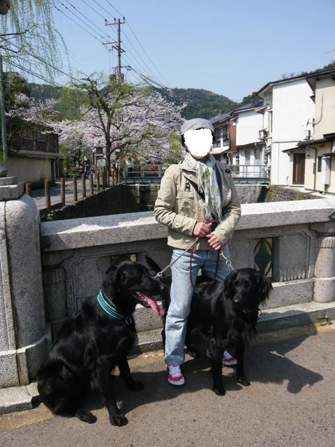a0090313_1115373.jpg