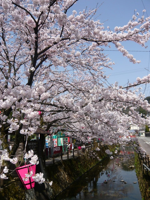 a0090313_1117575.jpg