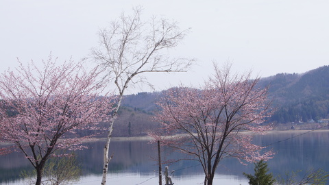 f0233414_2130468.jpg
