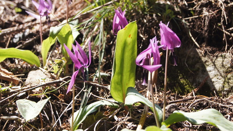 f0233414_21484450.jpg