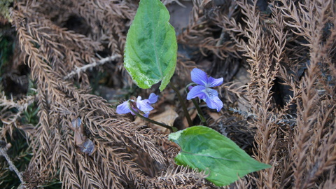 f0233414_21493373.jpg