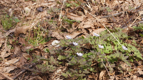 f0233414_21501773.jpg