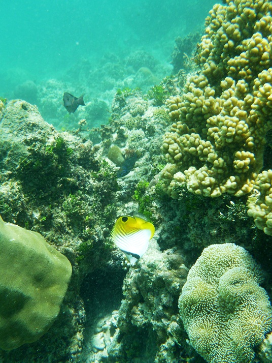 c0221417_1954664.jpg