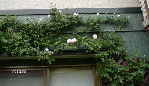 f0059818_2229643.jpg
