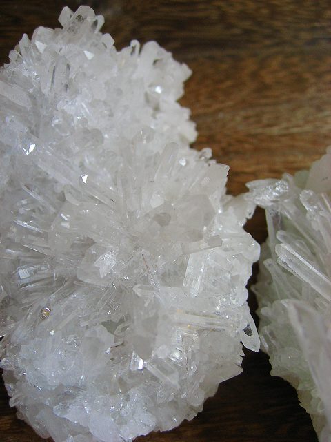 d0170119_1046348.jpg