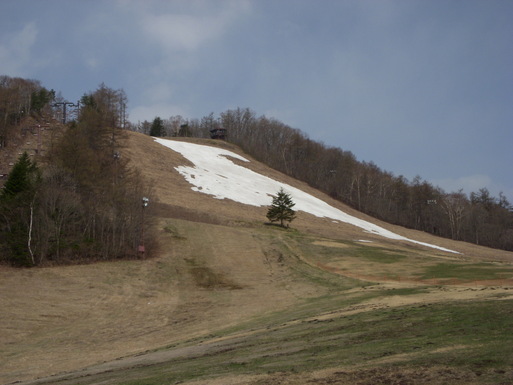 e0109622_1431127.jpg