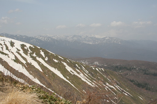 e0109622_14472730.jpg