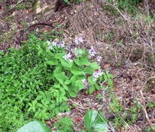f0060424_13155150.jpg