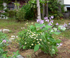 f0060424_13163235.jpg