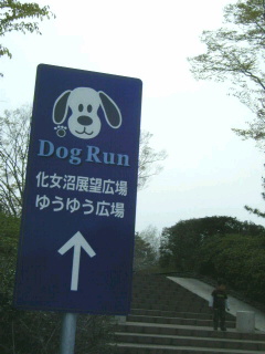 c0074025_214432.jpg
