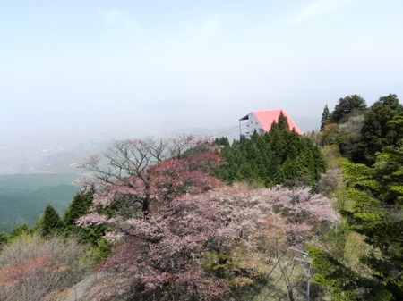 f0213825_95237.jpg