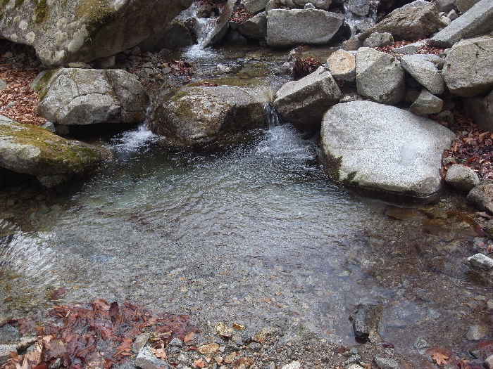 f0103126_6501091.jpg