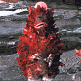 f0133526_21441817.gif